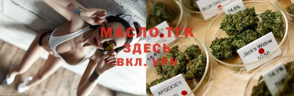 шишки Горнозаводск