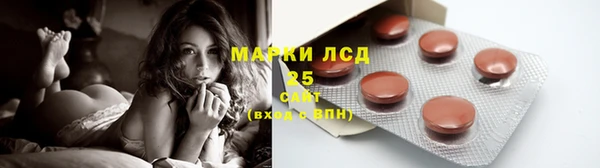 apvp Гусь-Хрустальный