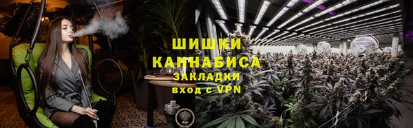 apvp Гусь-Хрустальный