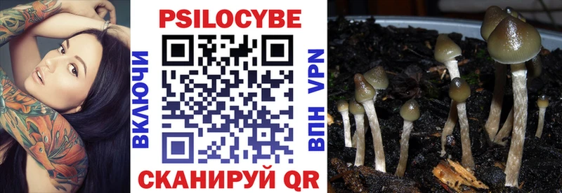 Псилоцибиновые грибы мухоморы  Купить  Дивногорск 