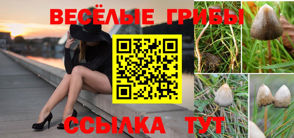 купить наркотики сайты  Псилоцибиновые грибы MAGIC MUSHROOMS  Псилоцибиновые грибы прущие грибы  Вход с VPN  Дивногорск 